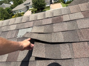 Lifting and curling asphalt roof shingles