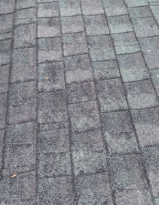 Worn asphalt shingle roof with missing granules